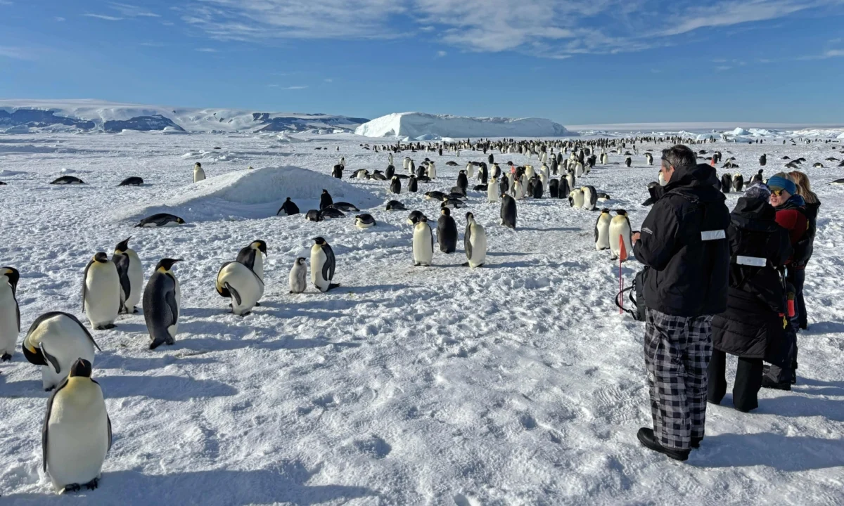 Antarctica: A Realm of Untamed Beauty Explored Through Ultra-Luxury Expedition Cruising