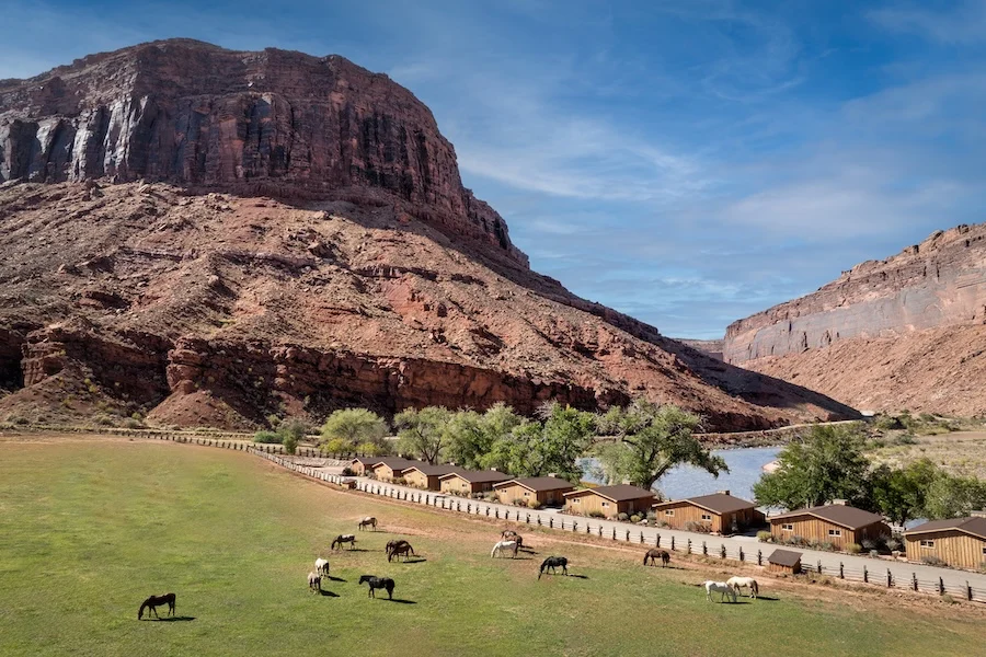 Design Meets the High Desert at Red Cliffs Lodge Moab