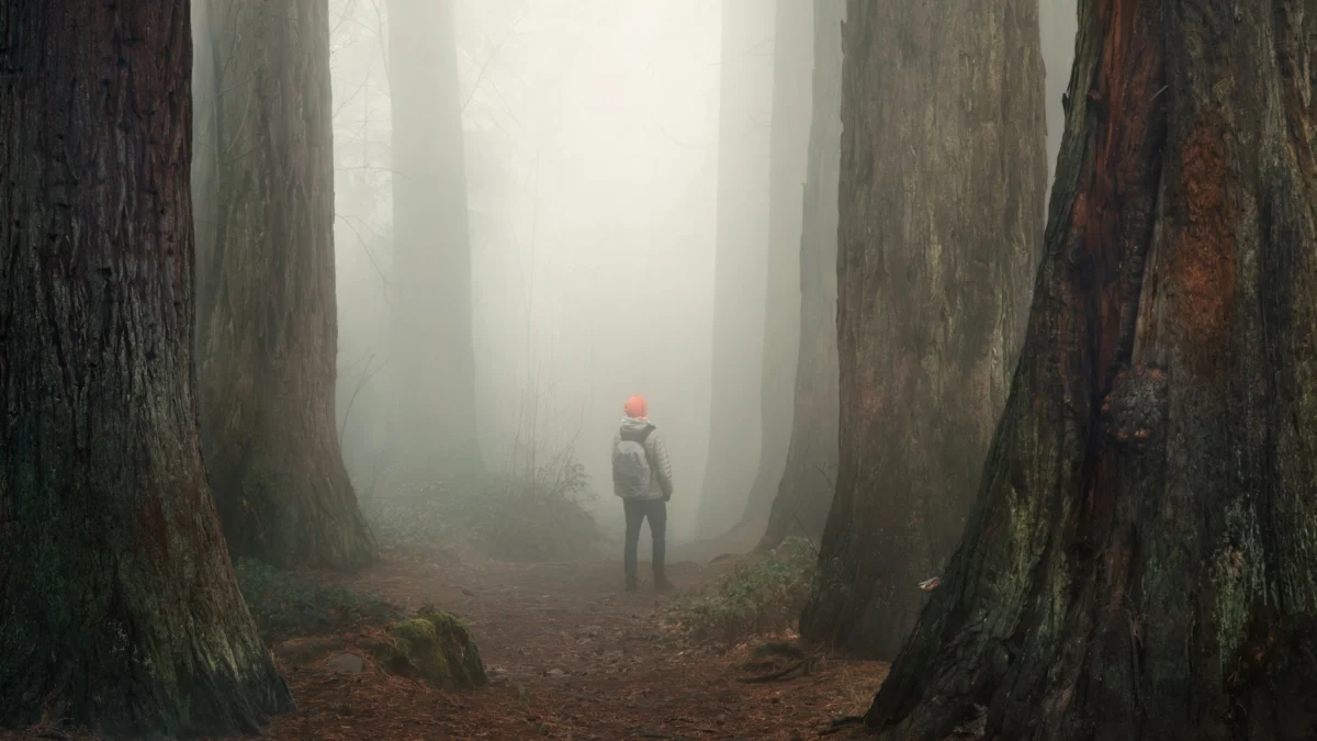 Seventy-One-Year-Old Hiker Rescued After Three-Day Ordeal in Northern California Wilderness Following Chance Encounter with Railbike Guides