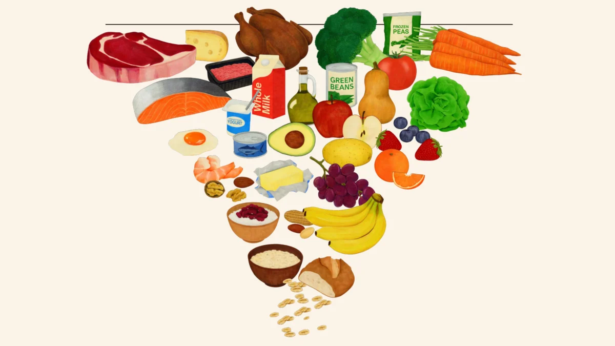 The 2026 Dietary Guidelines for Americans: Analyzing the Shift Toward High-Protein Inversion and Its Impact on Athletic Performance