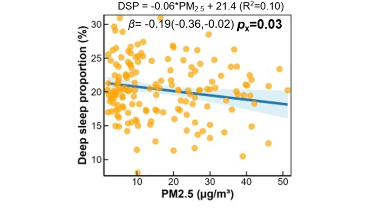 The Impact of Overnight Bedroom Air Quality on Athletic Performance and Physical Recovery