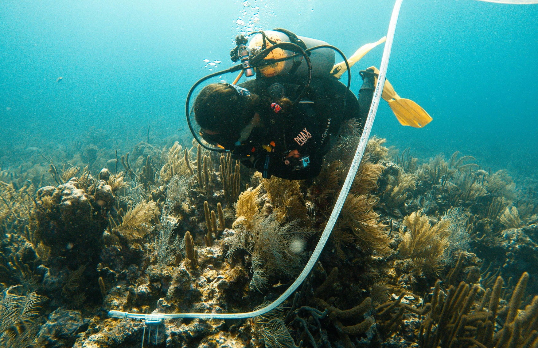 Colombia Pilots Groundbreaking Seawater Technology to Detect Marine Ecosystem Stress for Proactive Sustainable Tourism Management