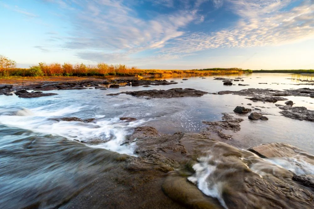 Into the Heart of the Northern Territory: The Wild Splendor and Ecological Significance of the Mary River Wetlands
