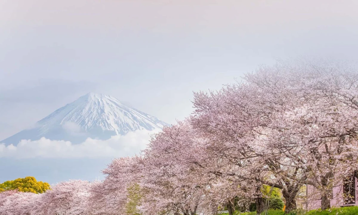 Princess Cruises Unveils Most Extensive Asia Deployment Ever for 2027-2028 Seasons, Charting New Territory in Southeast Asia and Japan
