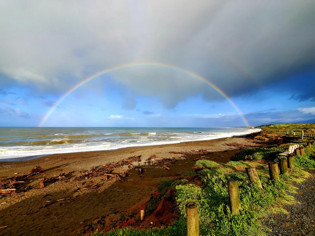 The Pacific Coast Highway: A Comprehensive Journey Through America’s Iconic Coastal Tapestry