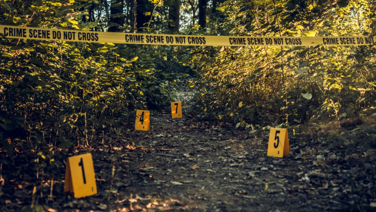 The Rise of True Crime in the Wilderness and the New Digital Frontier of Investigative Storytelling