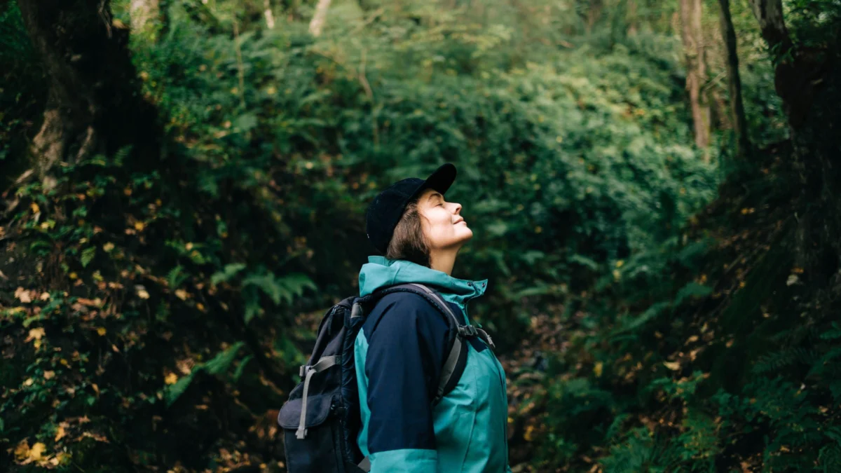 Understanding the Distinction Between Being Overwhelmed and Overstimulated Is Essential for Effective Stress Management in a High-Input Society.