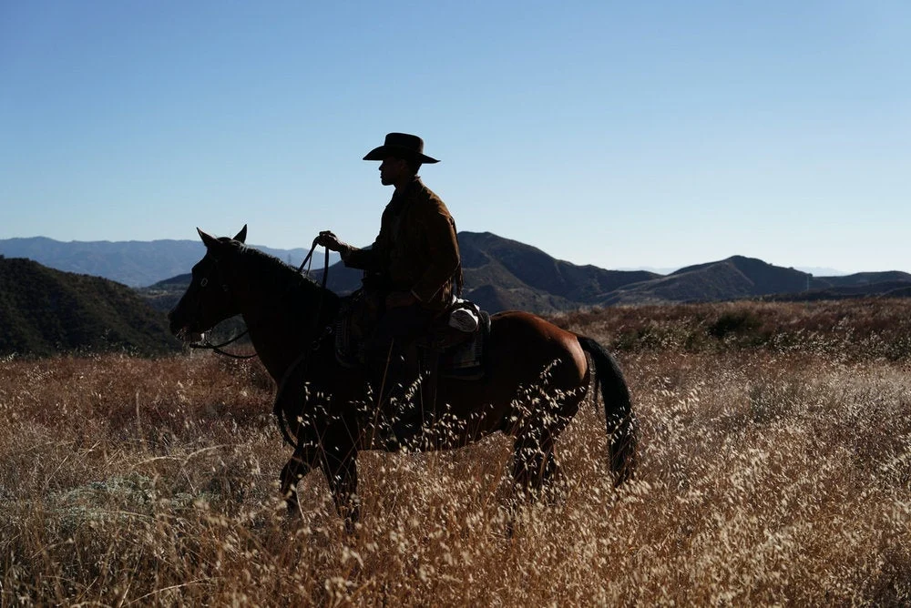 Beyond the Finish Line: A Comprehensive Guide to the Cinematic and Cultural Legacy of Equestrian Media