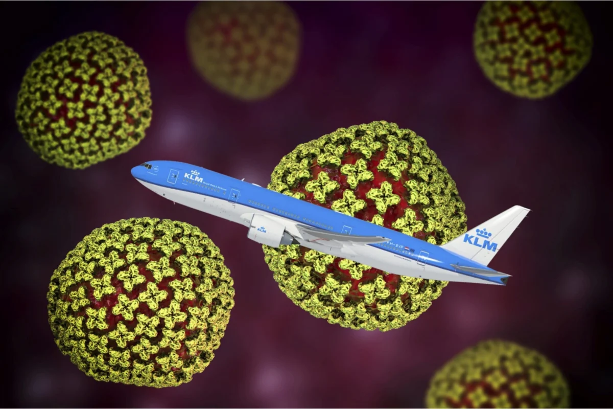 Hantavirus Risks in Commercial Aviation: Assessing Passenger Safety and Public Health Protocols Following Recent Incidents