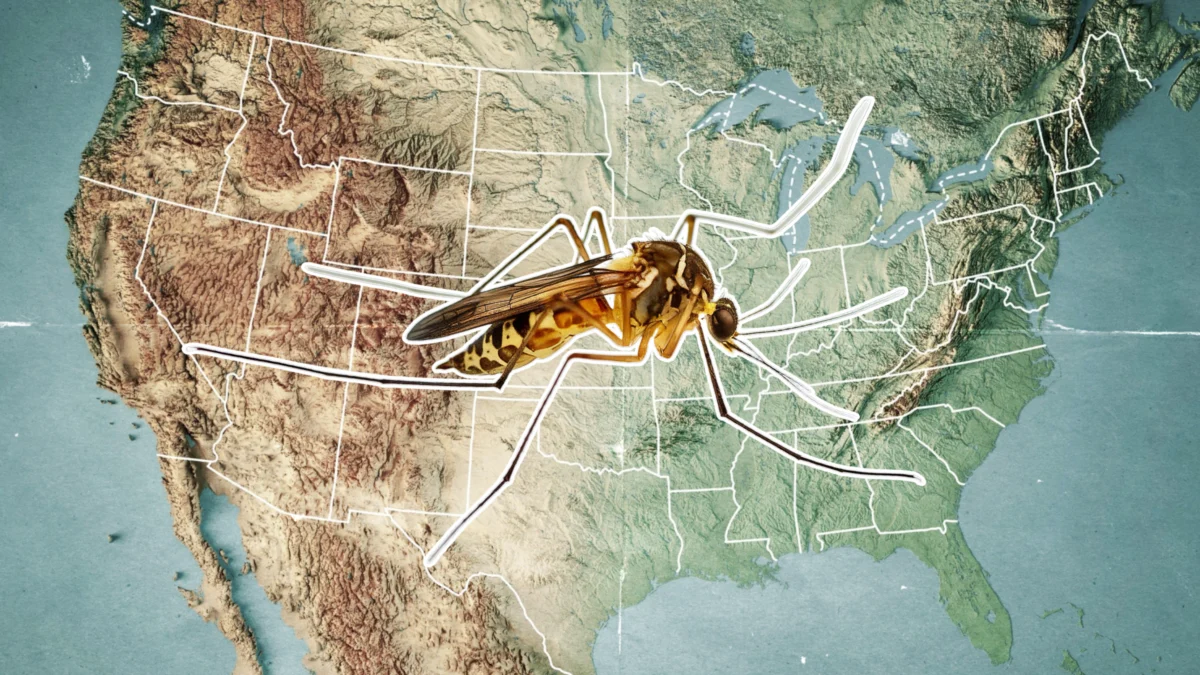 Navigating the 2026 Mosquito Season: Climate Trends, Regional Risks, and Essential Prevention Strategies for the United States.