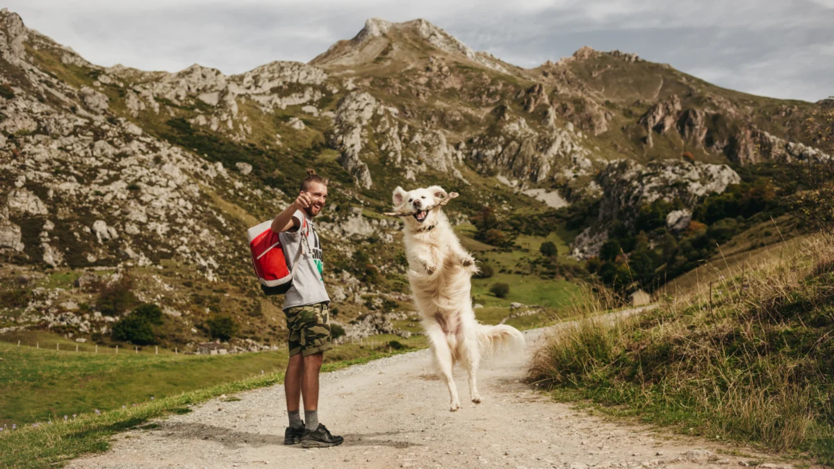 Navigating the Shifting Regulations and Opportunities for Off-Leash Dog Hiking on North American Public Lands