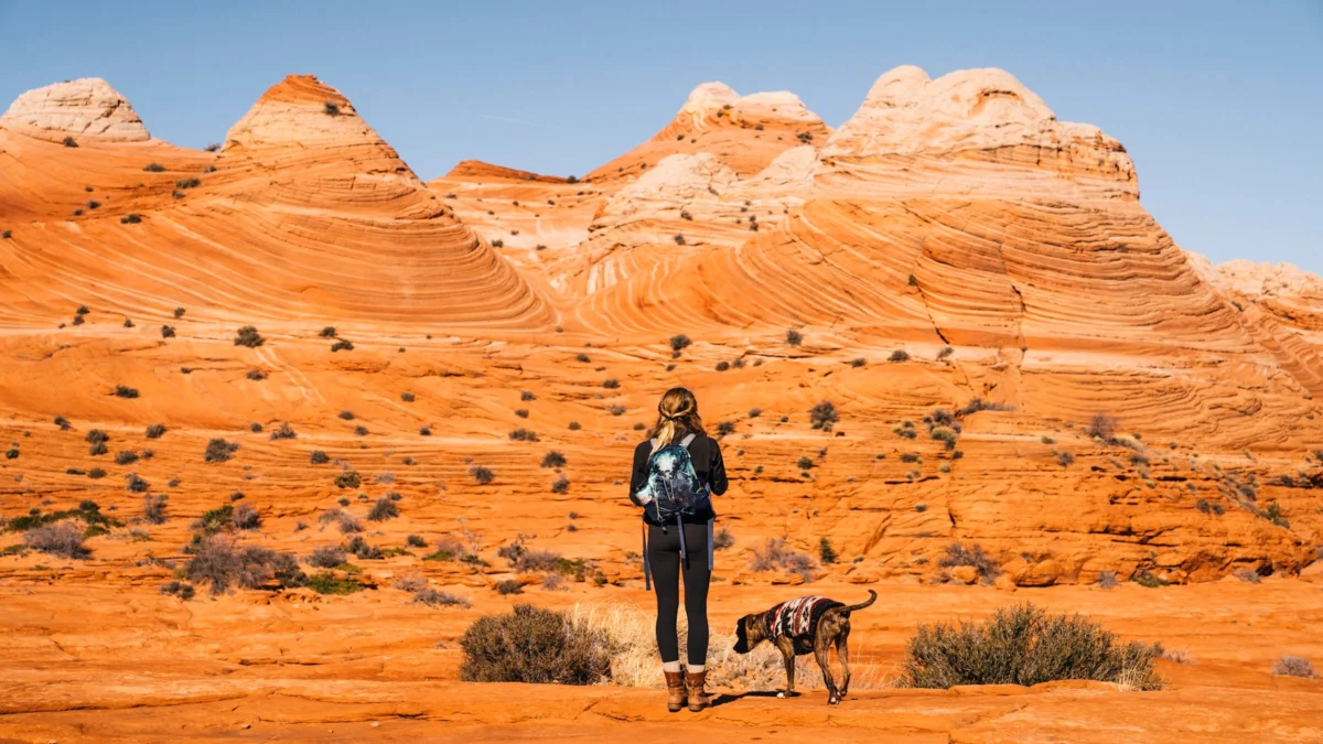 New Digital Accountability Tool Tracks Congressional Voting Records on Public Lands Ahead of 2026 Midterm Elections