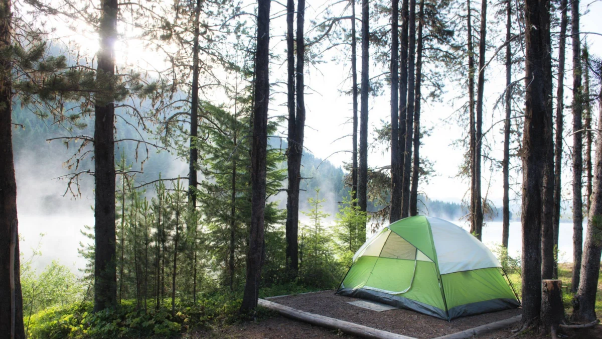 Strategic Navigation of National Park Campground Reservations: A Comprehensive Guide to Optimizing Site Selection and Avoiding Overcrowded Facilities