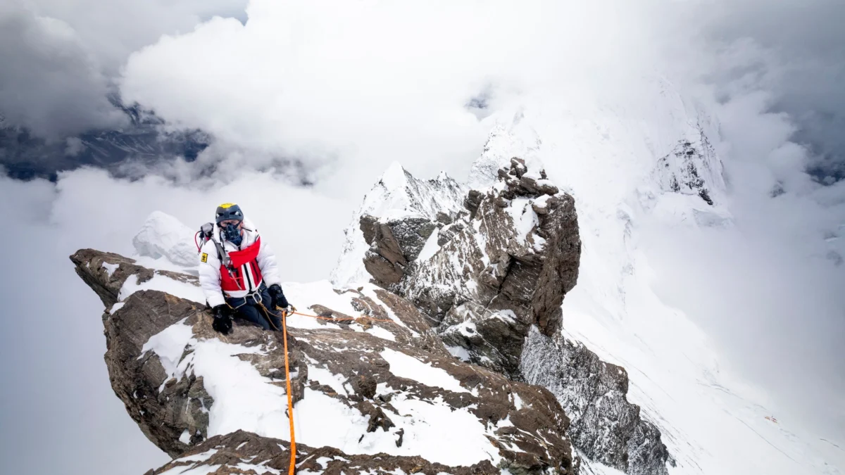Tiny Predator Halts Giant Leap British Adventurer Tim Howell Postpones World Record Wingsuit Attempt After Venomous Snake Bite
