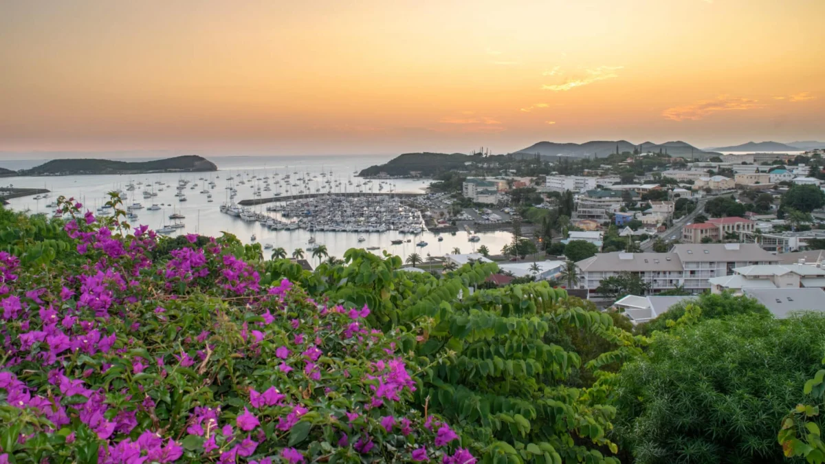 A Cruise Passenger Challenges Industry Terms and Conditions After Major Itinerary Change, Sparking Legal Debate