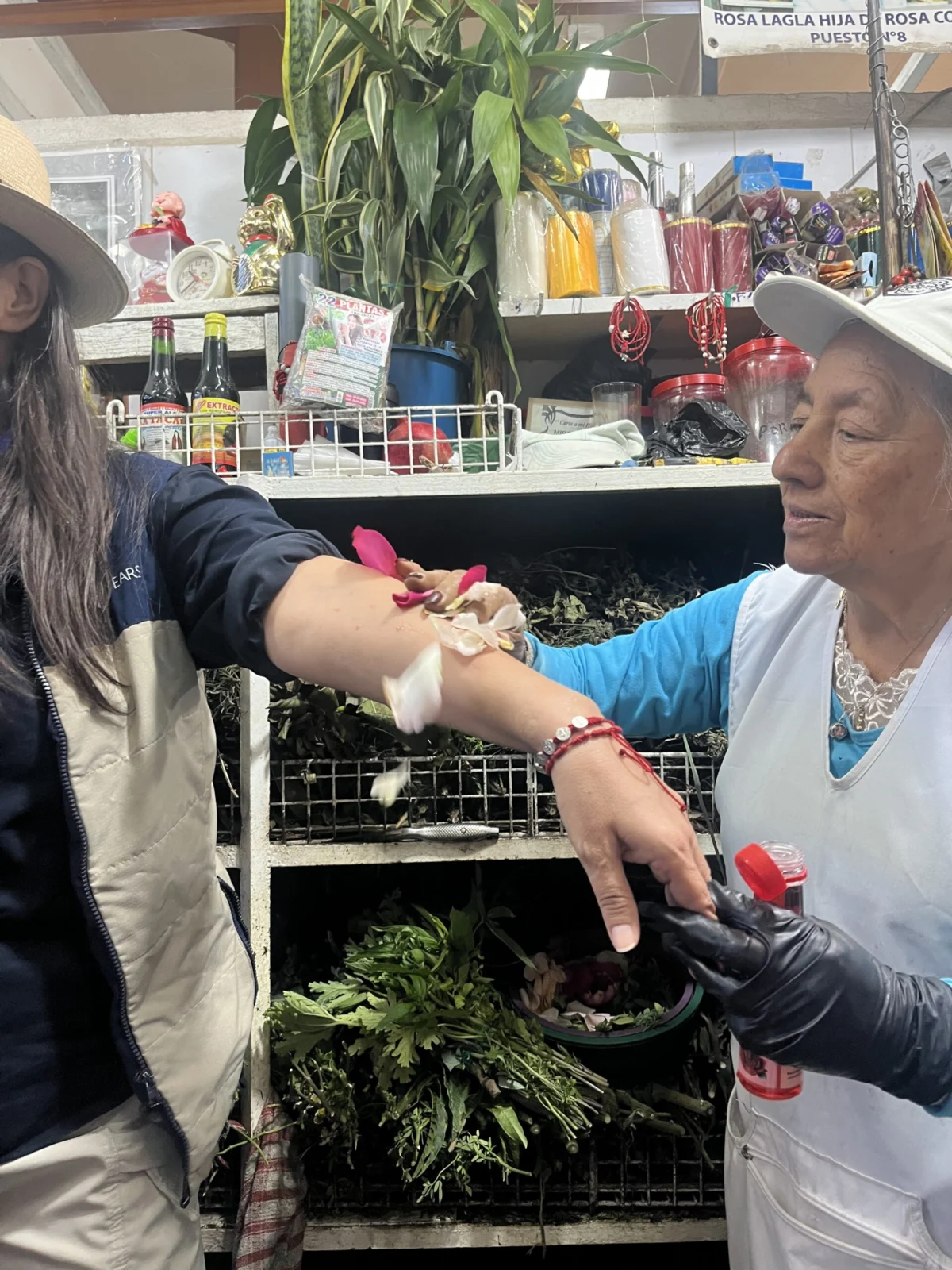 Experiential Journey into Quito’s Enduring Artisanal Heritage: Metropolitan Touring Unveils Immersive Cultural Expedition