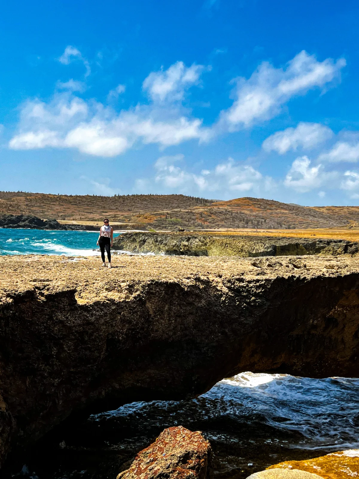 Exploring Aruba: Unveiling the Island’s Wonders with Premier Tour Operators