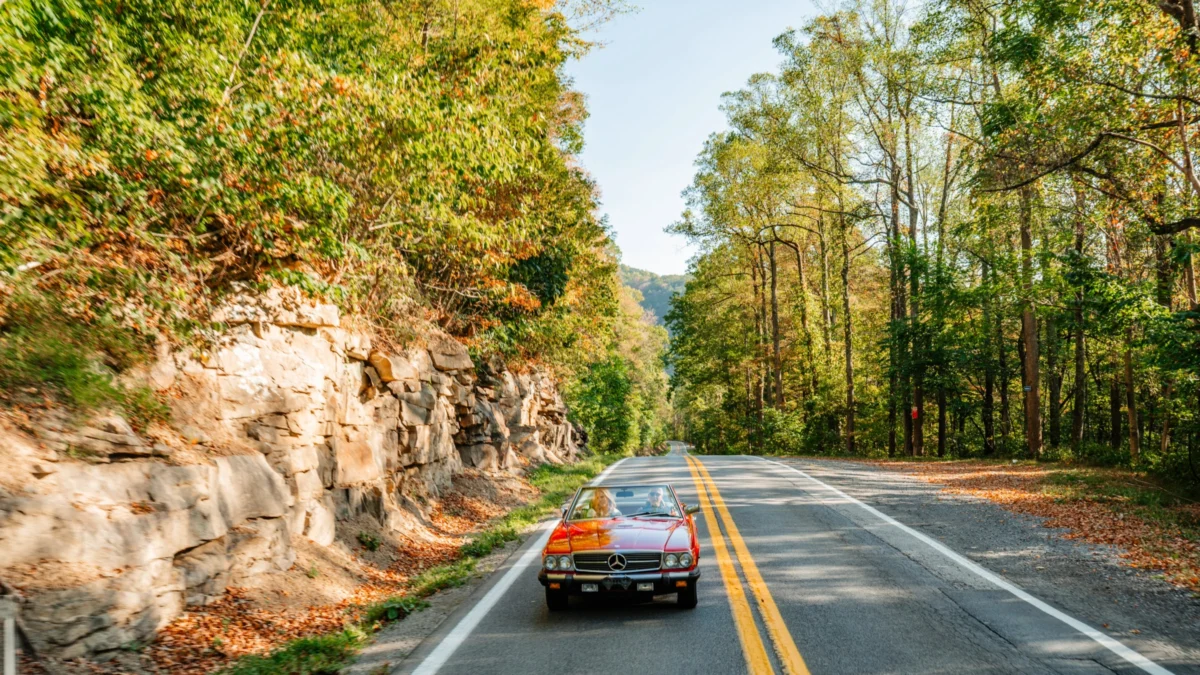 Exploring West Virginia’s Cranberry Corridor: A Comprehensive Guide to the Mountain State’s Premier Scenic Byway and Outdoor Recreation Hub
