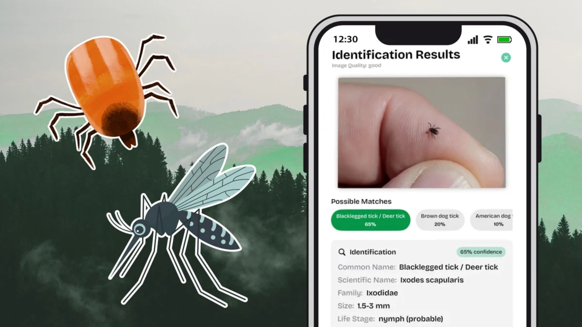 Vector Guard App Addresses Rising Tick-Borne Disease Risks and the Proliferation of Digital Health Misinformation