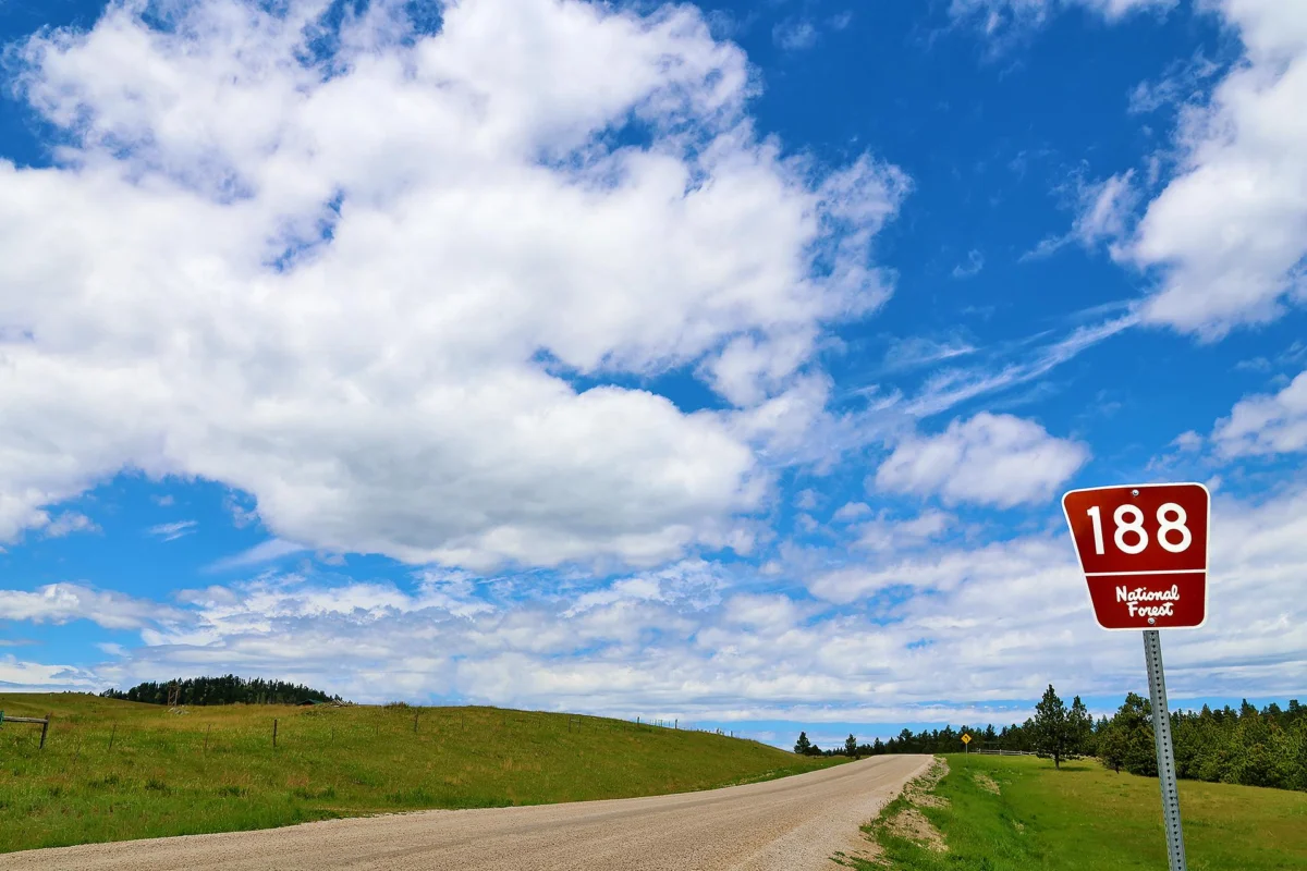 Frontier Airlines GoWild Pass Offers Strategic Advantages for Long Distance Road Trip Logistics and Regional Exploration