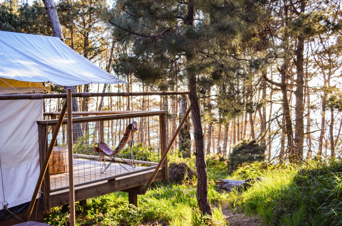 Luxury Nature Tourism Redefines the Great Outdoors as Glamping Becomes a Multi-Billion Dollar Industry
