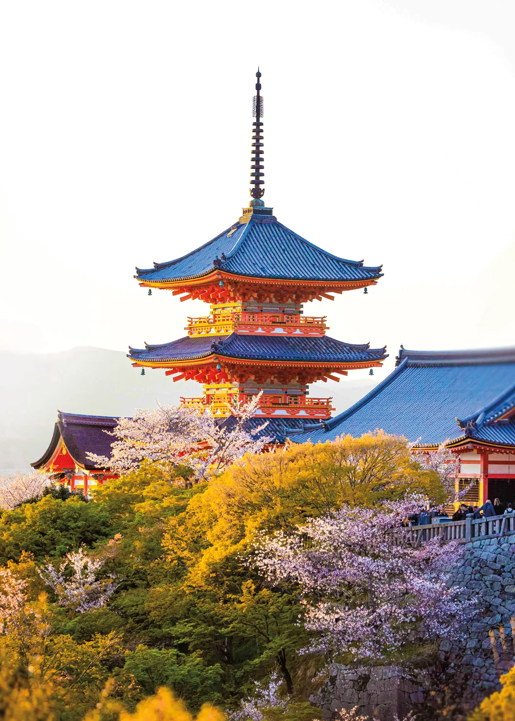 Princess Cruises Unveils Landmark 2027-2028 Japan Program, Offering Unprecedented Coastal Exploration and Cultural Immersion