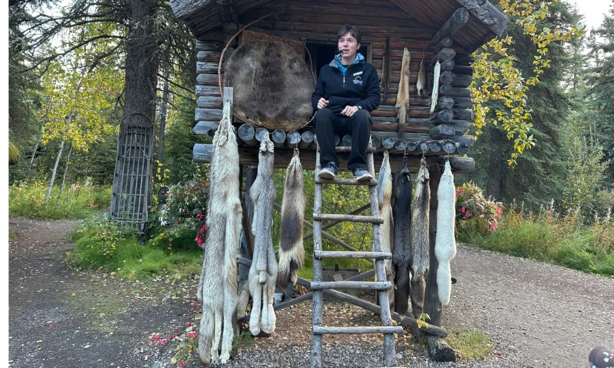 Beyond the Glaciers: The Strategic Rise of Alaskan Land-Based Adventure Tourism for Australian Travelers