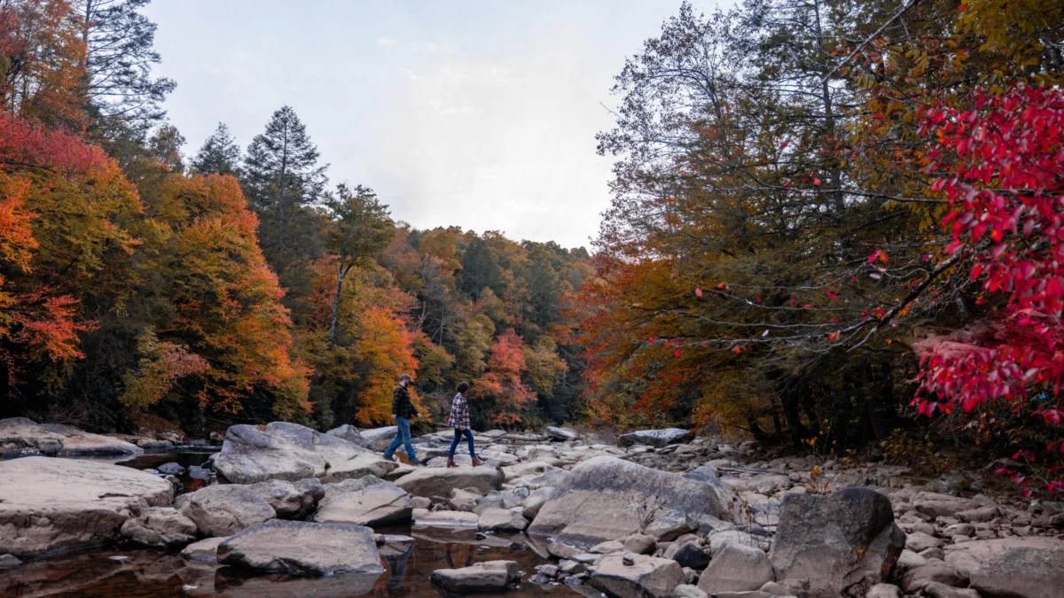 Discovering Almost Heaven: West Virginia’s Autumn Transformation Sets the Stage for Record-Breaking Fall Tourism