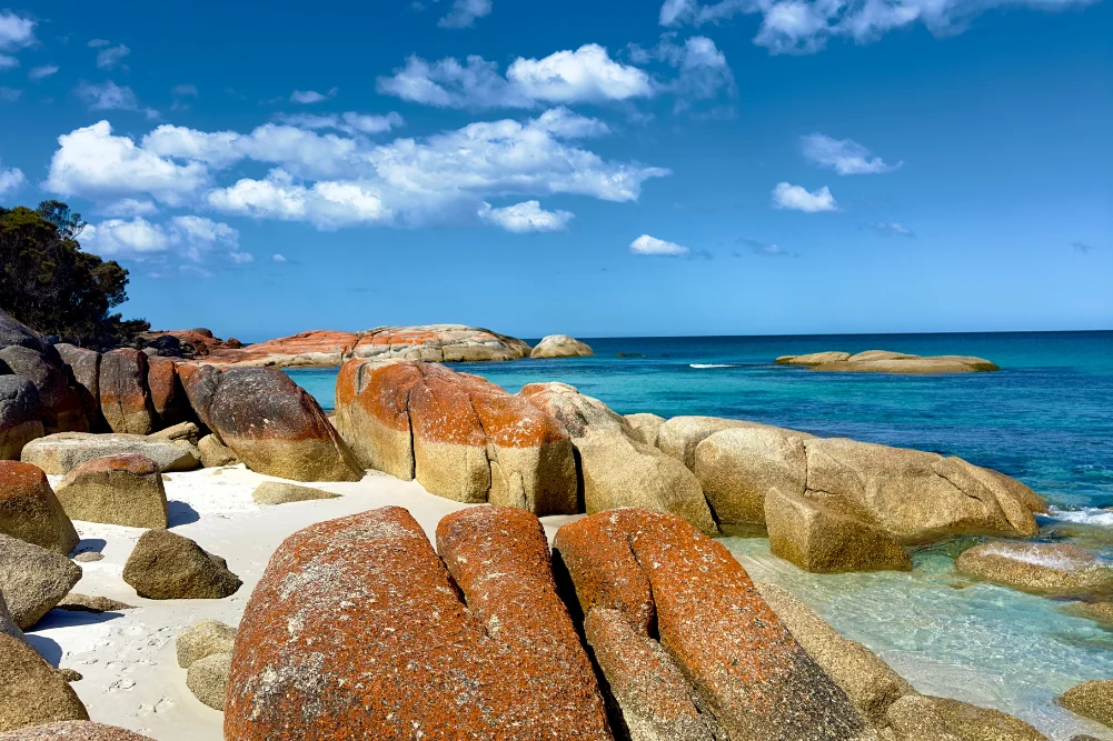 Exploring the Edge of Wilderness: A Guided Trek Along Tasmania’s Bay of Fires