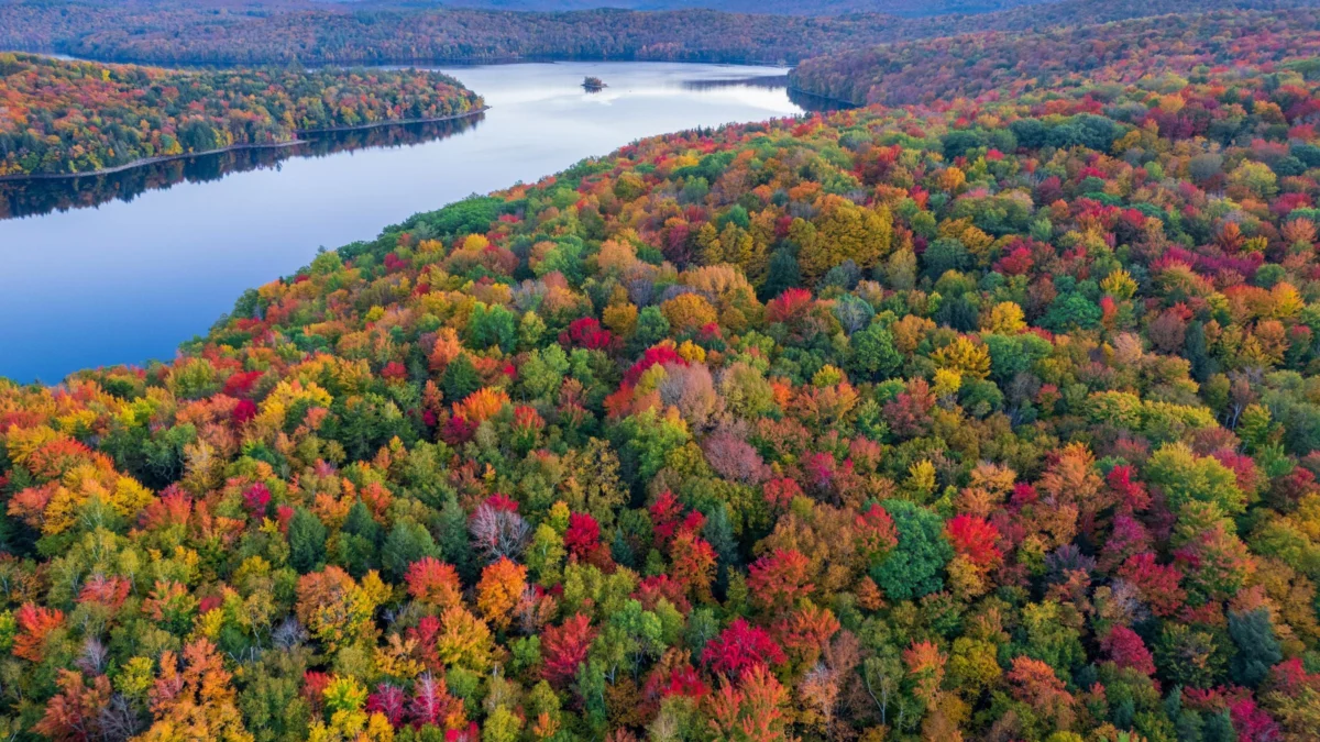 How Climate Change is Rewriting the Timelines and Brilliance of America’s Fall Foliage