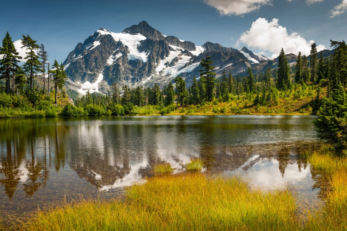 Labor Day Camping Trip in Washington State Ends in ICE Raid Following Collaboration with U.S. Forest Service