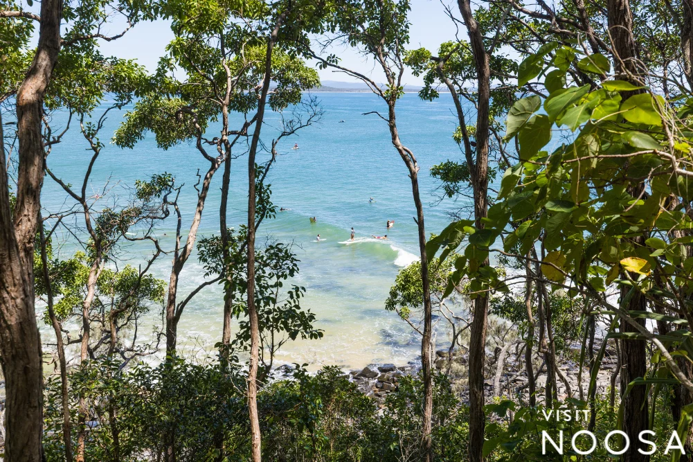 Noosa Unveils Comprehensive Winter 2026 Reset Tourism Initiative to Capitalize on Subtropical Climate and UNESCO Biosphere Status